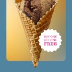 DEAL: Baskin Robbins – Buy One Get One Free Double Dark Mocha 1 Scoop Waffle Cone for Club 31 Members