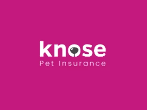 100% WORKING Knose Promo Code ([month] [year]) 3