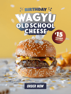 DEAL: Ribs & Burgers - $15 Old School Cheese Burger and Chips 3