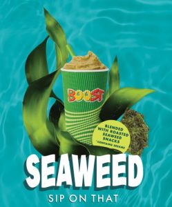 NEWS: Boost Juice - Seaweed Sip on That Range (Pash & Splash, Sea & Tea) 8