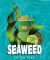 NEWS: Boost Juice - Seaweed Sip on That Range (Pash & Splash, Sea & Tea) 3