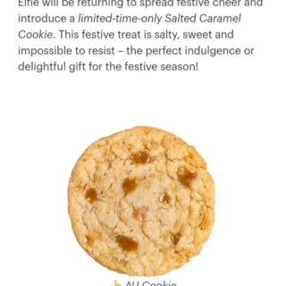 Subway to Launch Salted Caramel Cookie for Christmas 5